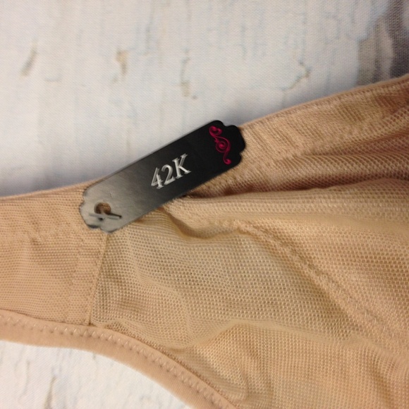 Modern Movement 1st & Curve Sunset Bra Light Smoot - Picture 2 of 4